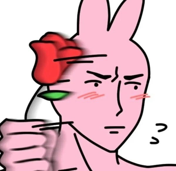 meme thỏ hồng tặng hoa