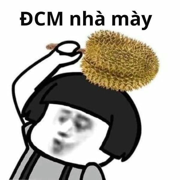 meme tức giận dcm