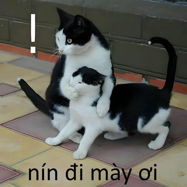nín đi mày ơi