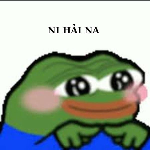pepe meme ni hải