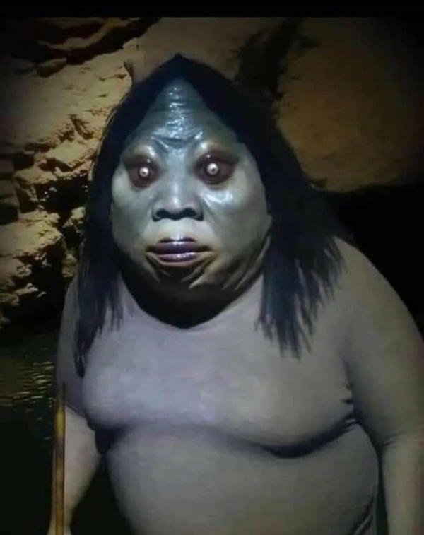 sẽ gầy anime meme 29