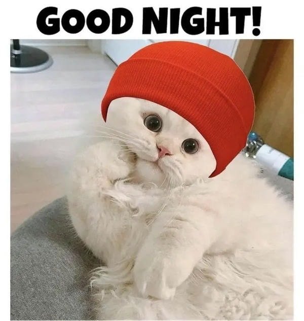 tải hình meme ngủ ngon mang cảm xúc dịu êm