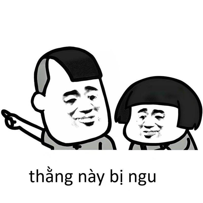 thàng này bị ngu