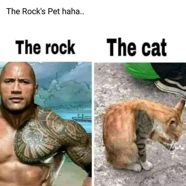 the rock meme 12