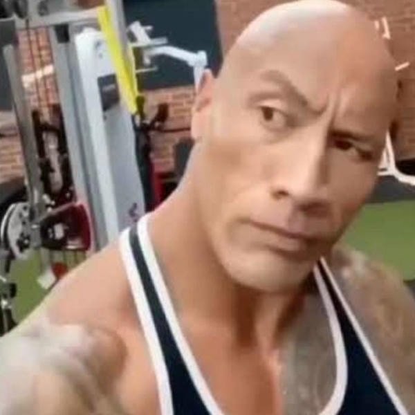 the rock meme 18