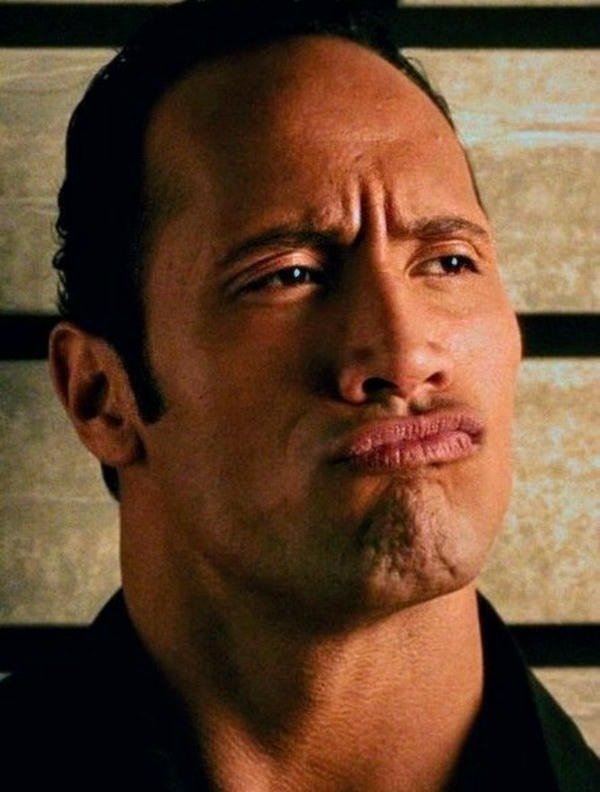 the rock meme 26