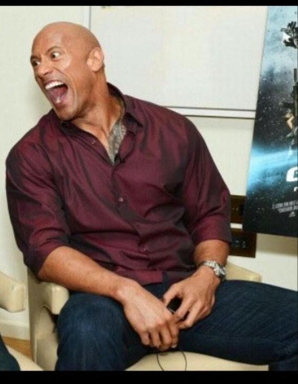 the rock meme 27