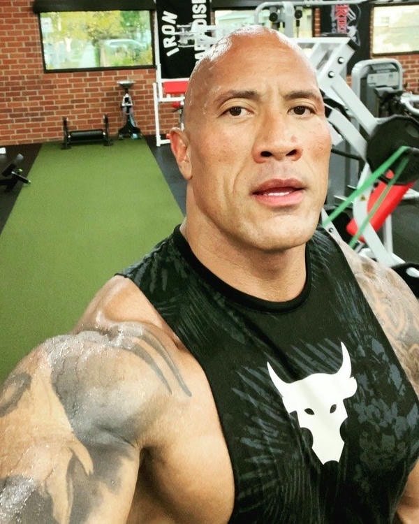 the rock meme 30
