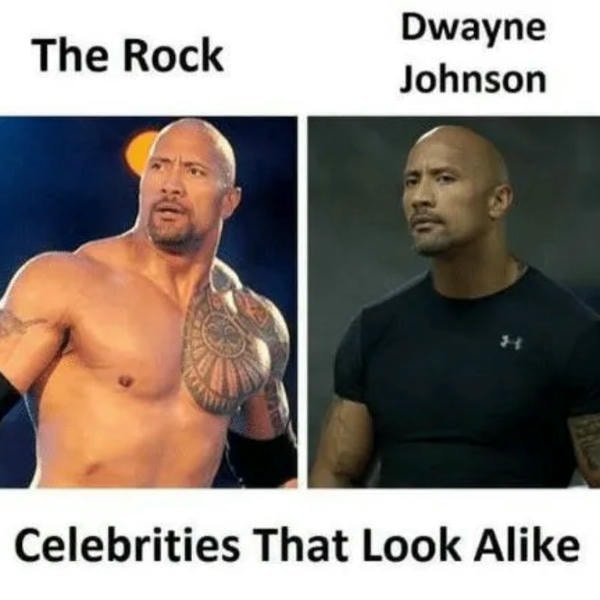 the rock meme 31