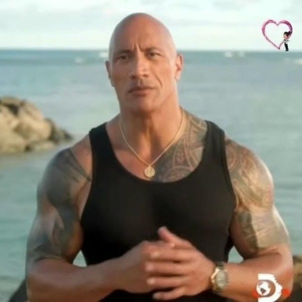 the rock meme 4