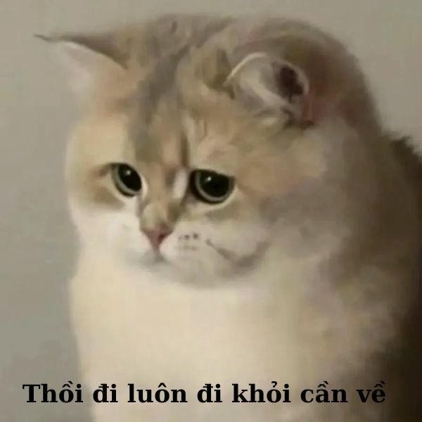 thôi đi luôn khỏi cần về