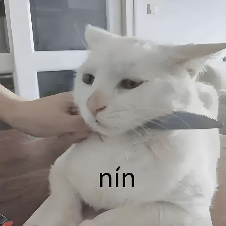 Meme nín cố chịu đựng