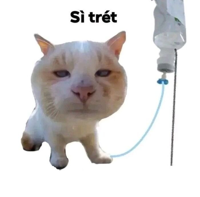 meme bựa khoảnh khắc hài