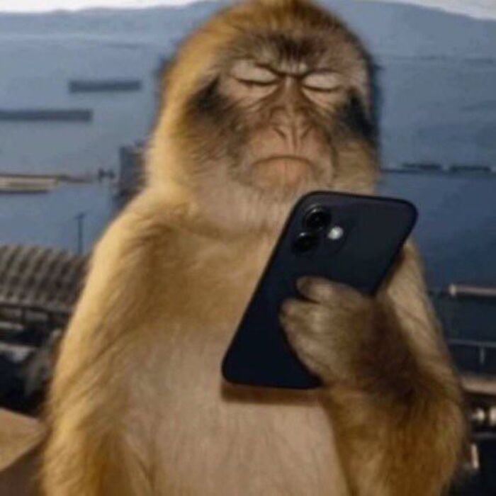 meme bựa nhìn chằm chằm