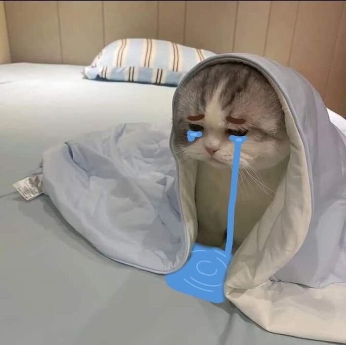 meme buồn biểu cảm khuôn mặt