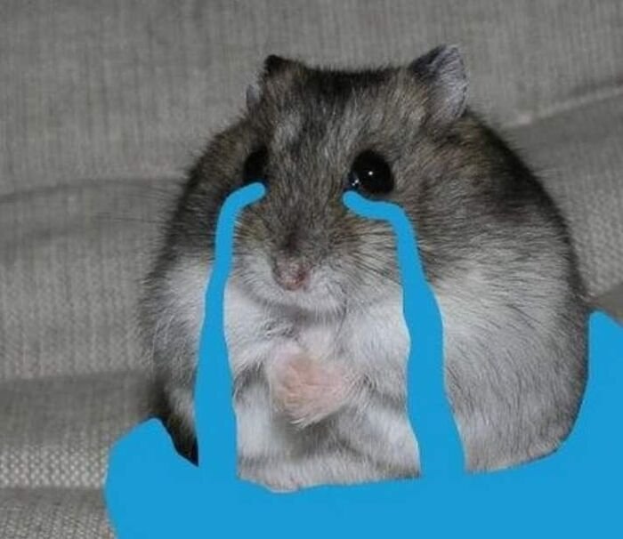 meme buồn khi thất bại