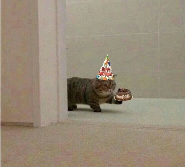 meme chúc mừng sinh nhật biểu cảm sốc