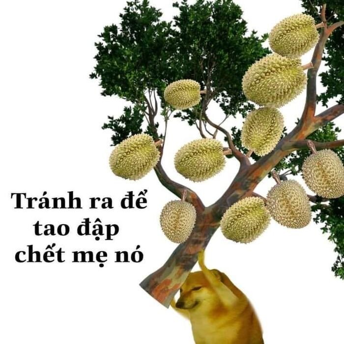 meme chửi biểu cảm cay