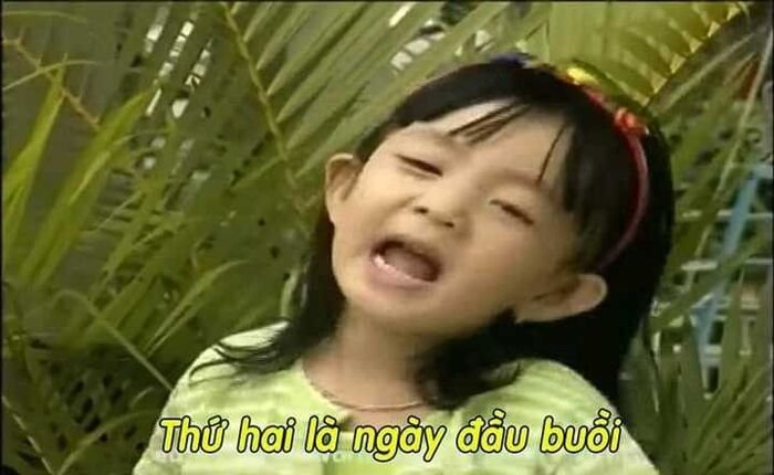 meme chửi nhìn bực bội