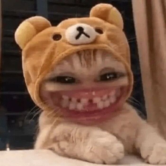 meme cười bá đạo