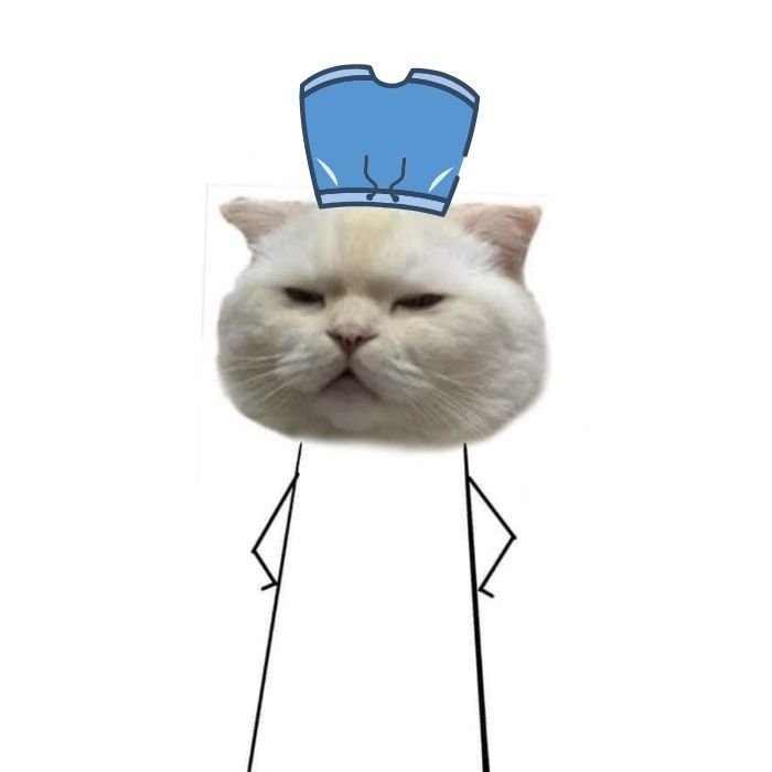 meme đội quần biểu cảm đơ