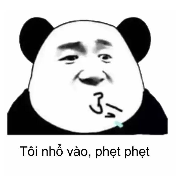 meme gấu trúc ánh mắt hài