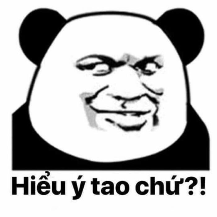 meme gấu trúc biểu cảm đơ