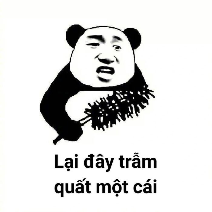 meme gấu trúc biểu cảm lạ