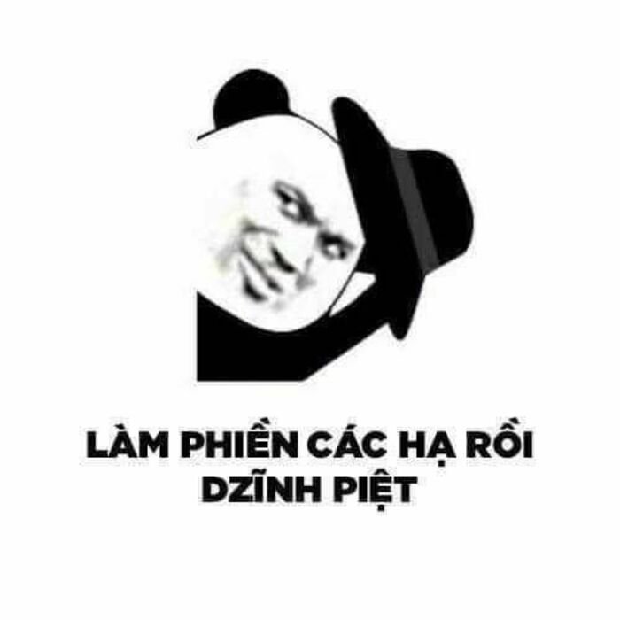 meme gấu trúc cười bá đạo