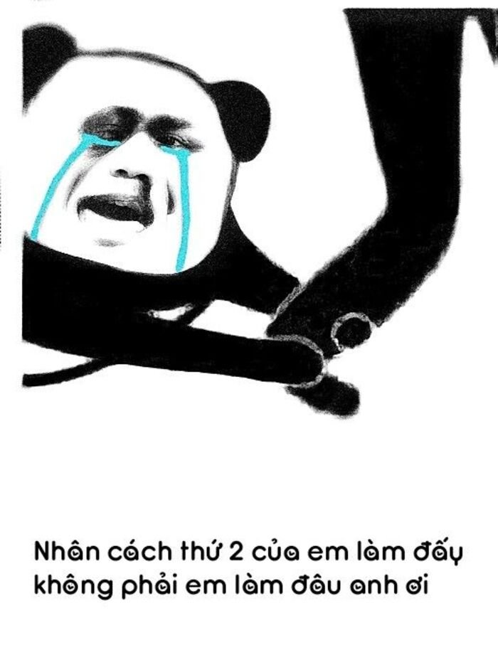 meme gấu trúc dễ thương