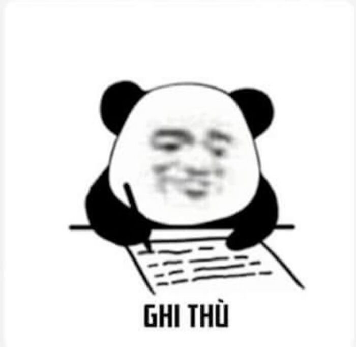meme gấu trúc hài hước