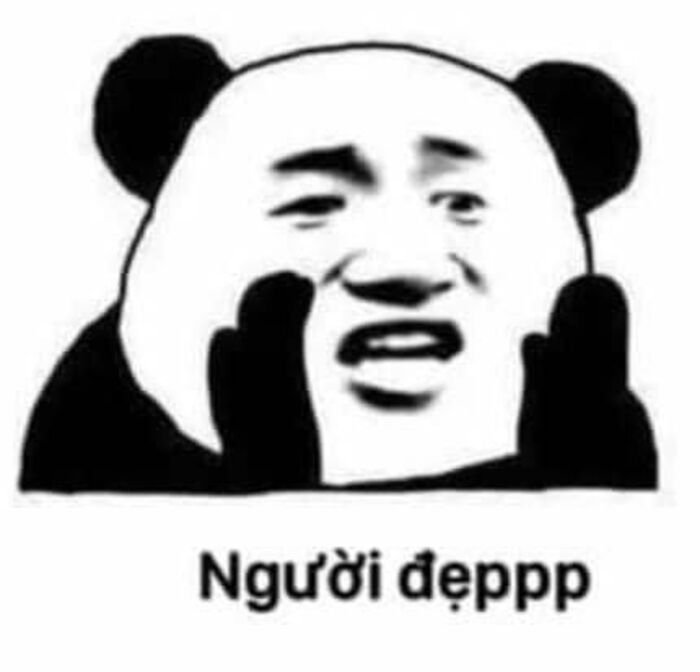 meme gấu trúc khoảnh khắc hài