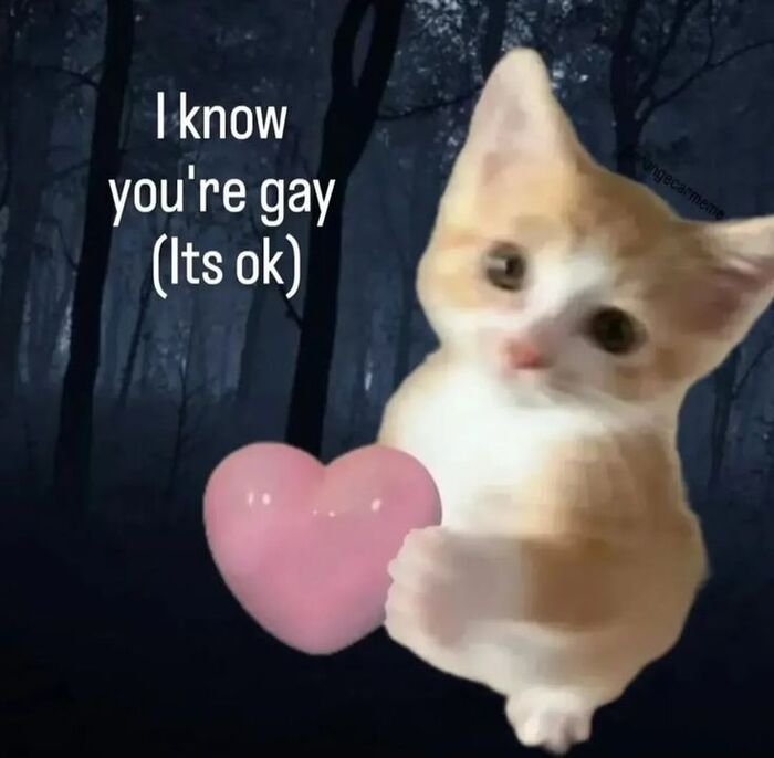 meme gay biểu cảm đơ