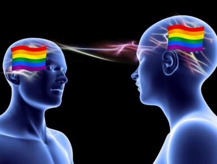 meme gay cười bá đạo