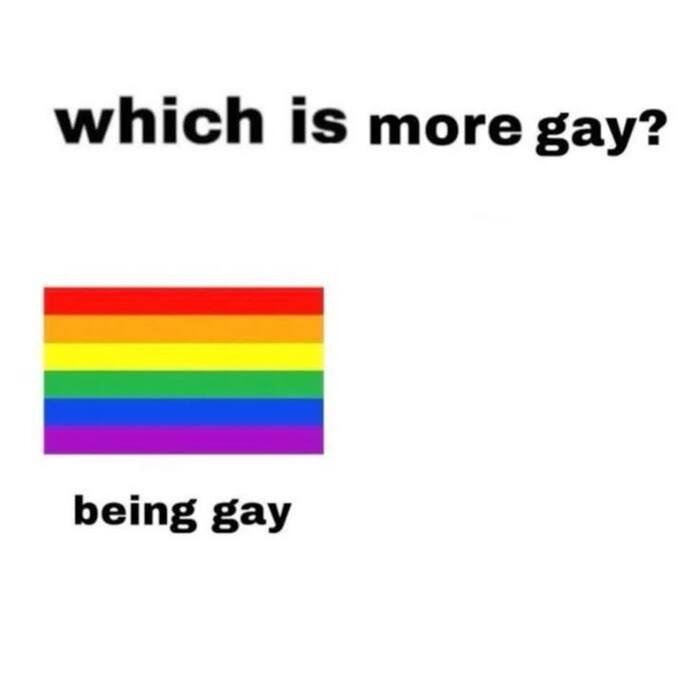 meme gay cười mệt