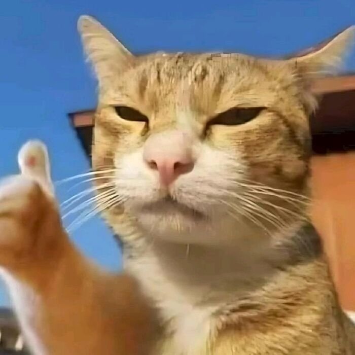 meme like biểu cảm hài