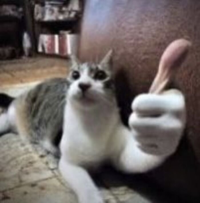 meme like biểu cảm lạ