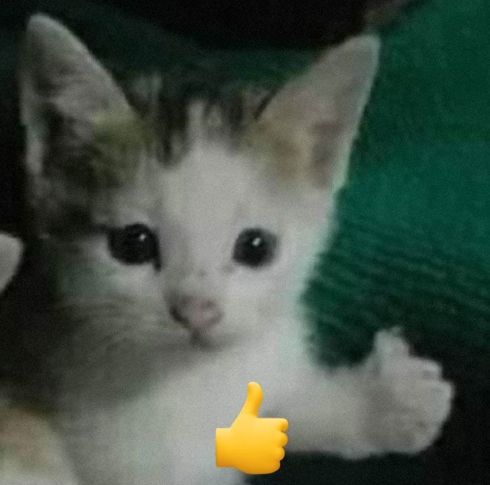 meme like hài hước