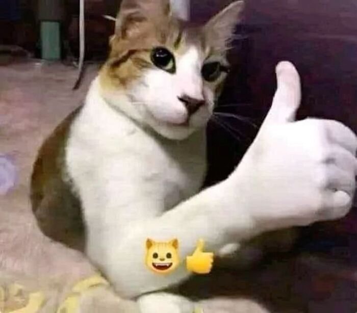 meme like khó hiểu