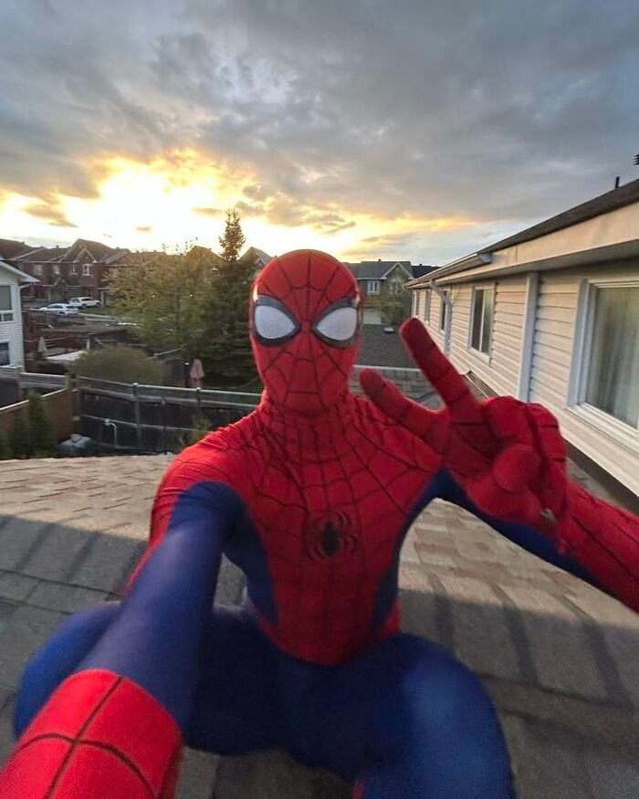 meme spiderman hài hước