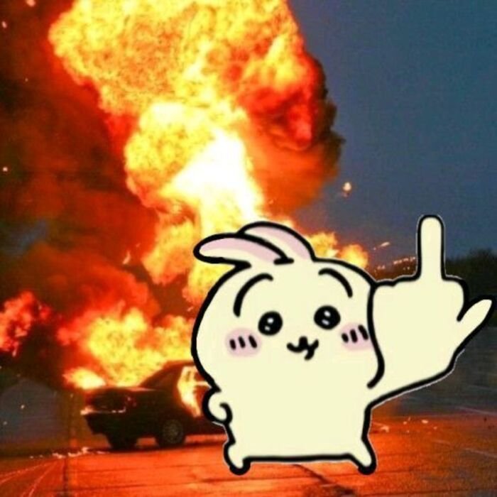 meme tức giận chikawa