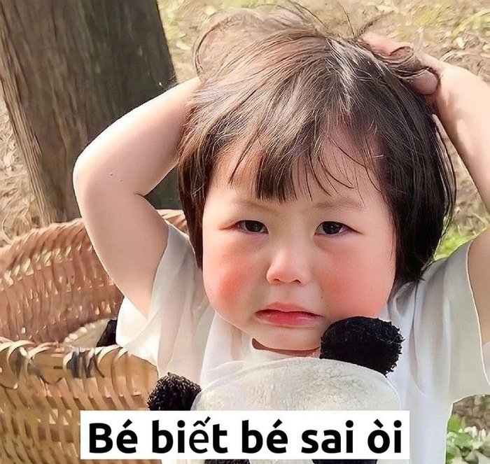 meme xin lỗi bé