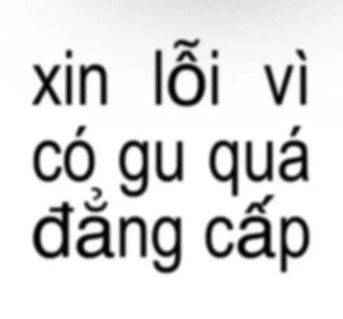 meme xin lỗi chữ đen