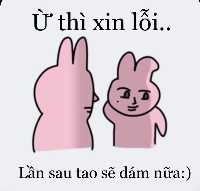 meme xin lỗi cute xỉu