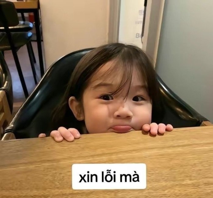meme xin lỗi em bé