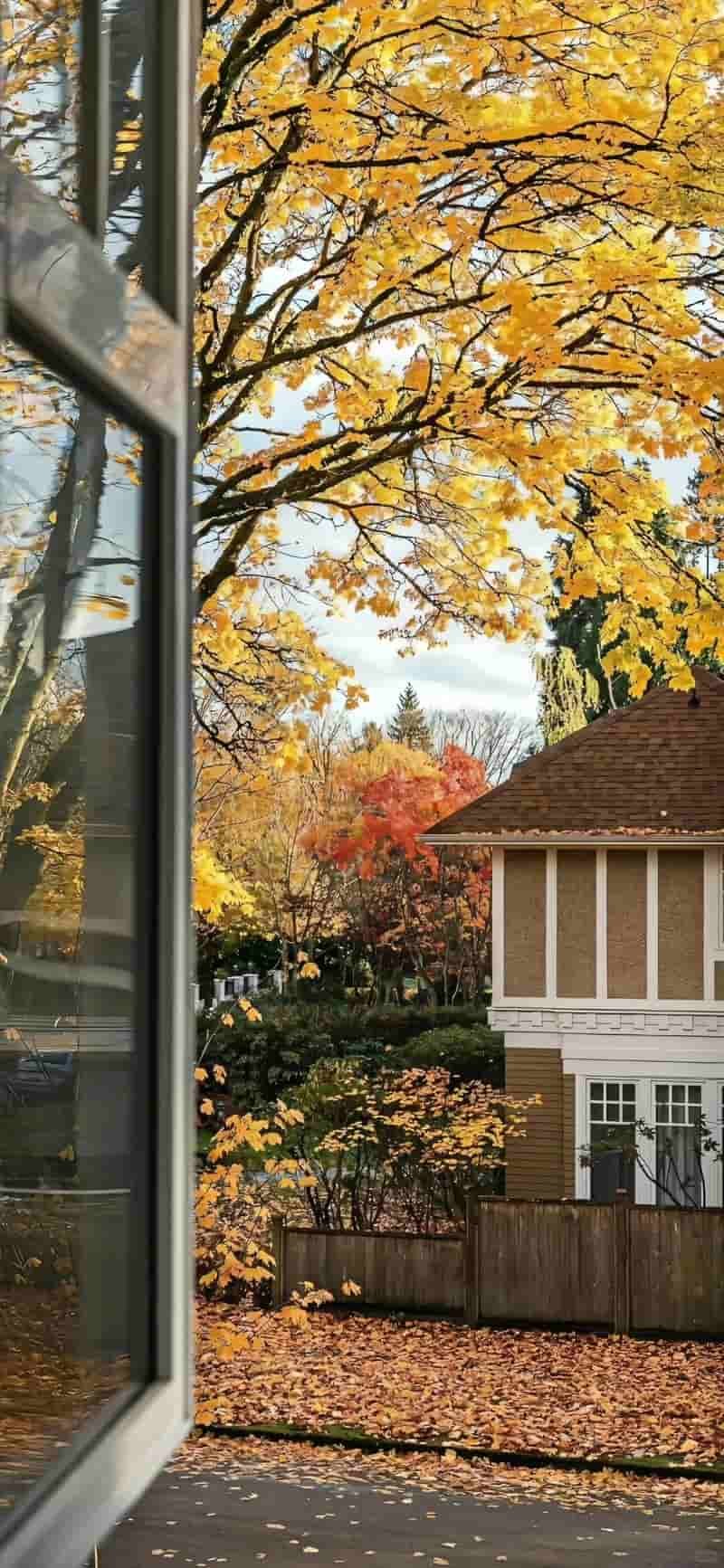 Album hình nền 8k độc quyền