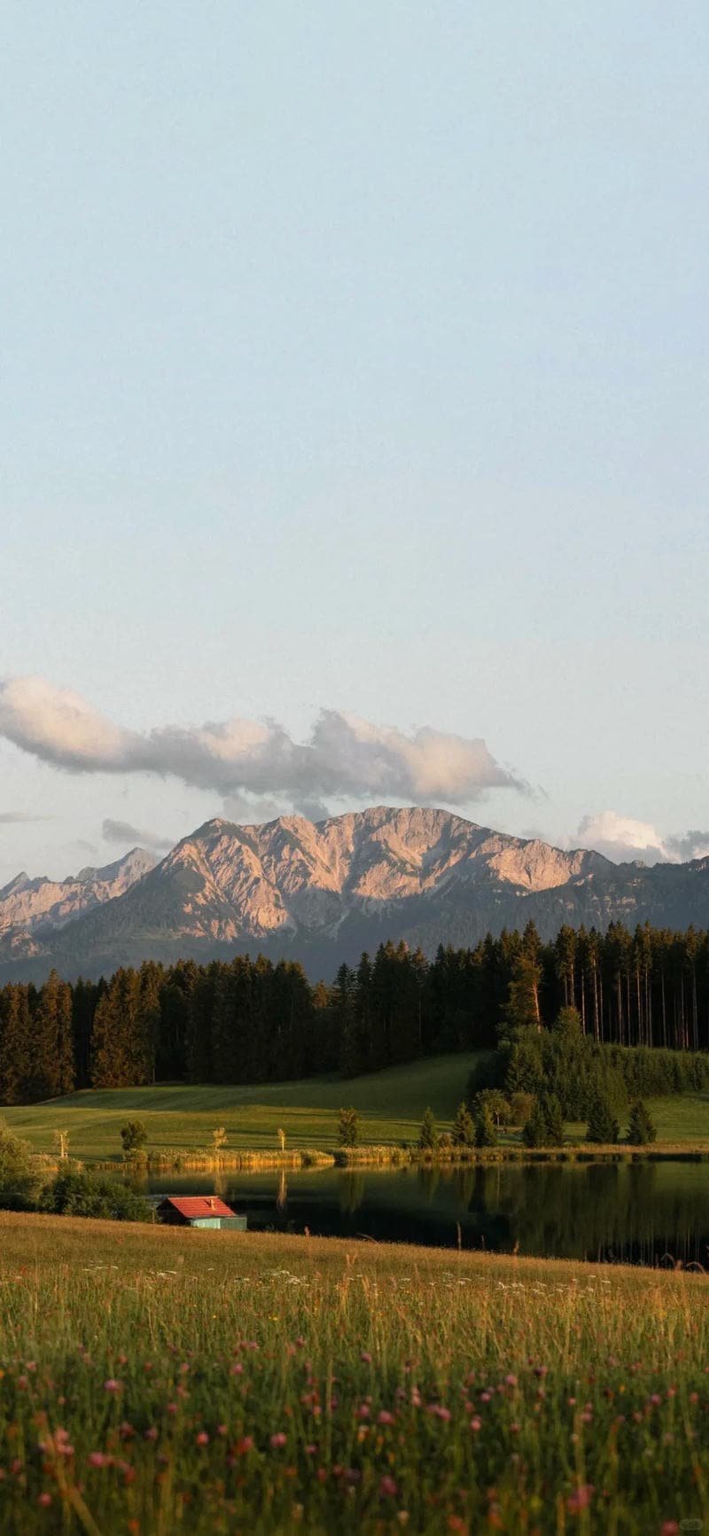 Album hình nền đẹp mới nhất