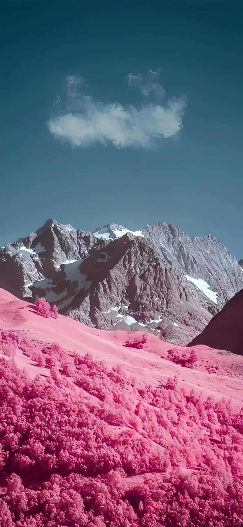 Album hình nền đẹp mới