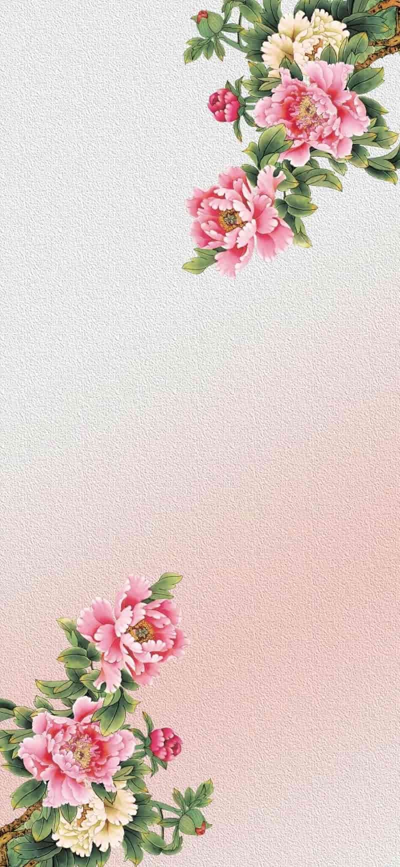 Album hình nền hoa mẫu đơn độc quyền