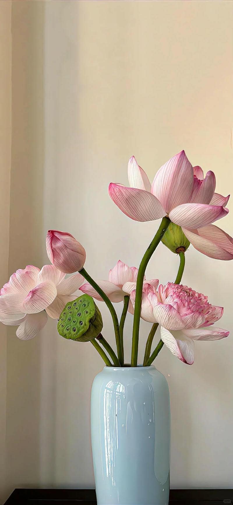 Album hình nền hoa mới nhất